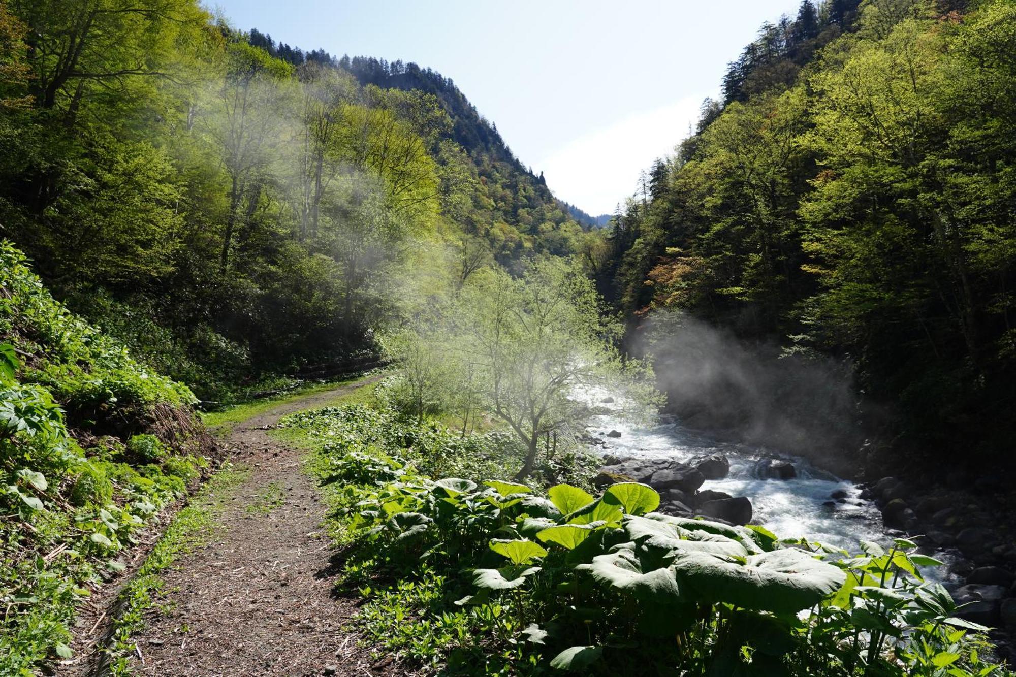 Shikishimaso Hotel Higashikawa Bagian luar foto